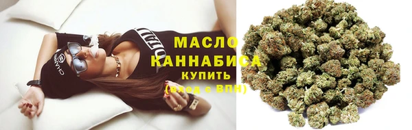 гидра Елабуга