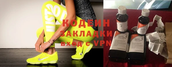 дмт Ельня