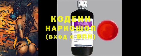 дмт Ельня
