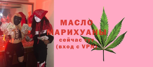 дмт Ельня