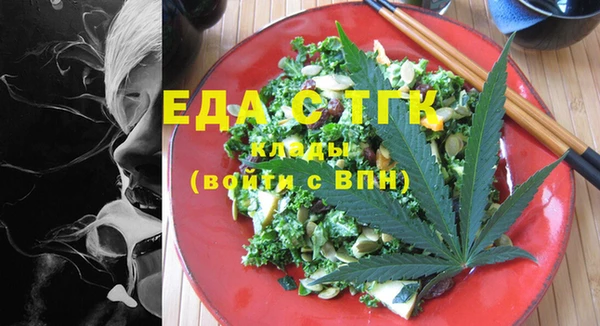 дмт Ельня