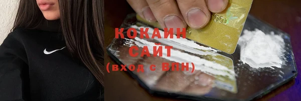 дмт Ельня