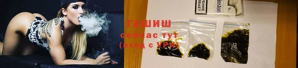 гидра Елабуга