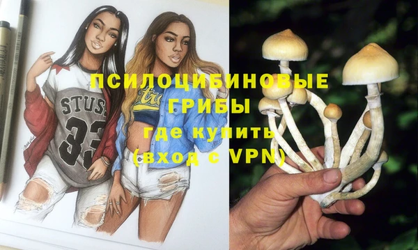 дмт Ельня