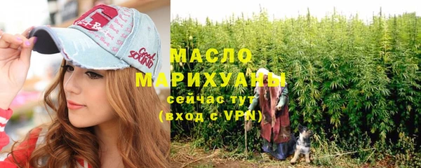 дмт Ельня