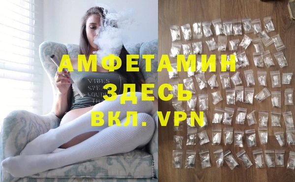 гидра Елабуга