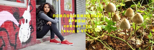 гидра Елабуга