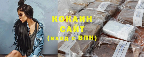 дмт Ельня