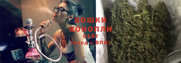 гидра Елабуга