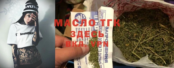 дмт Ельня