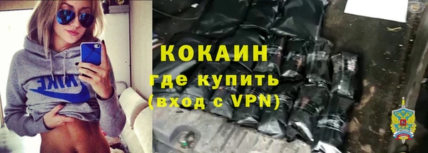 гидра Елабуга