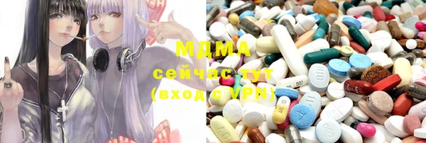 дмт Ельня