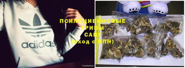 дмт Ельня