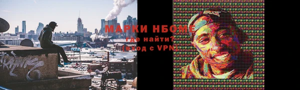 дмт Ельня