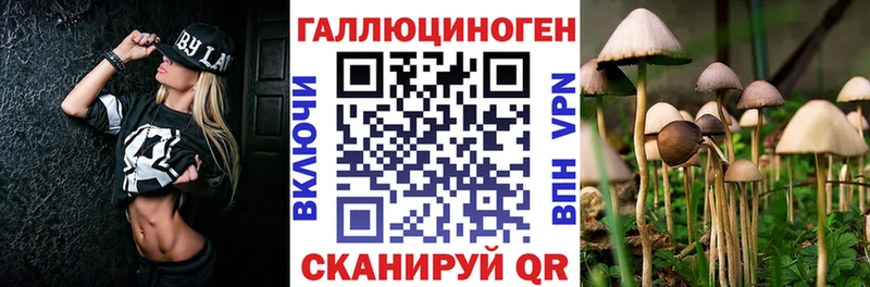 Купить где  Надым  Псилоцибиновые грибы GOLDEN TEACHER 